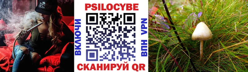 Галлюциногенные грибы Magic Shrooms  Богданович 