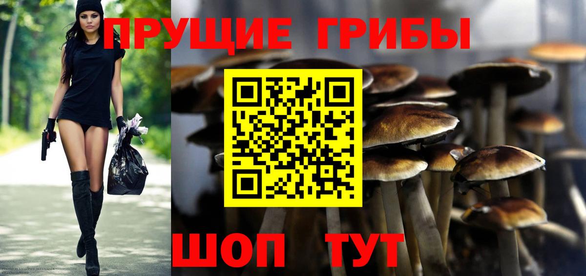 Галлюциногенные грибы мицелий Богданович