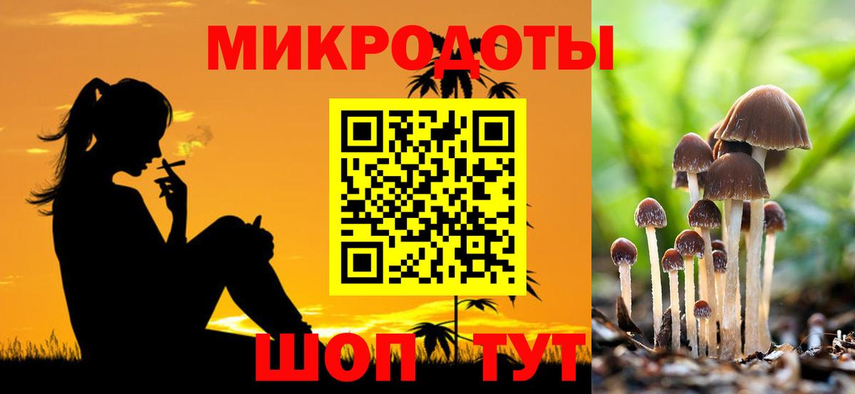 Псилоцибиновые грибы Psilocybe  Богданович 