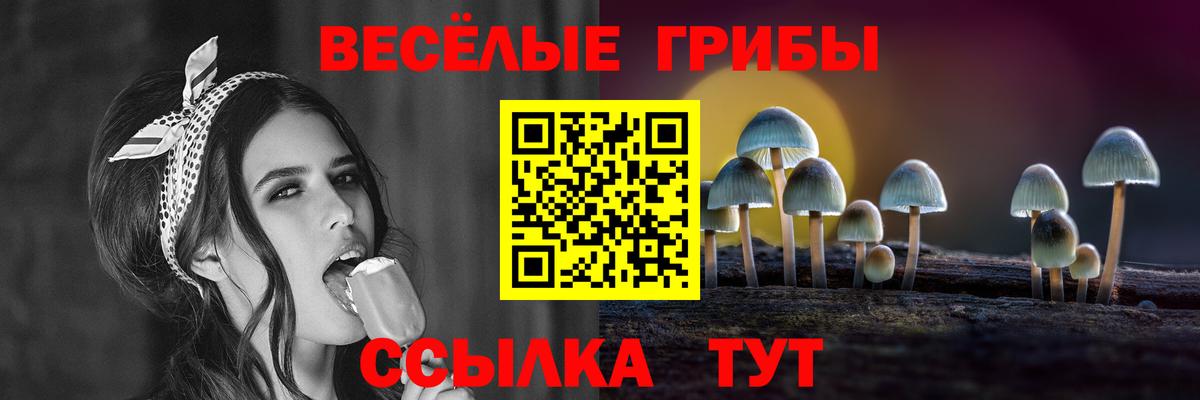 Галлюциногенные грибы мухоморы  Вход с VPN  Богданович 